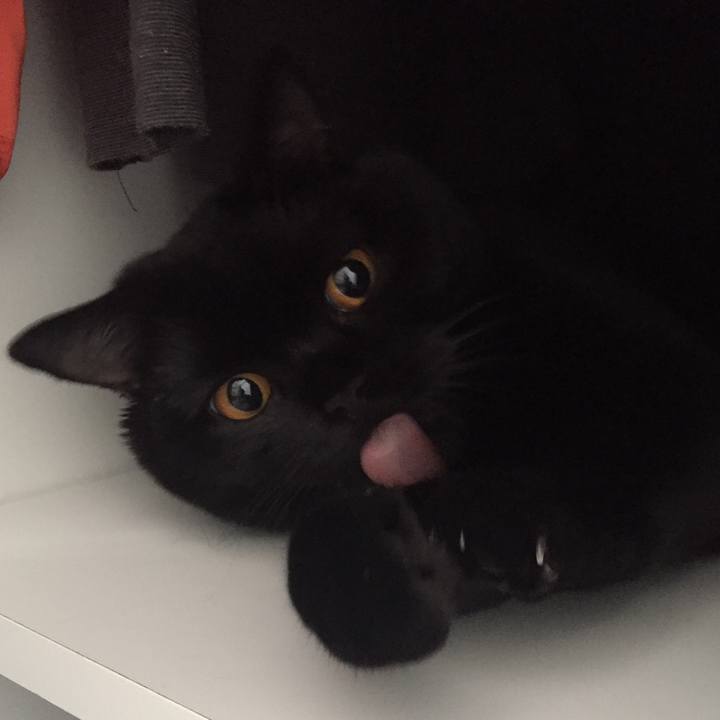 38370b6c 03bd 4853 be33 91698fcfe2bf