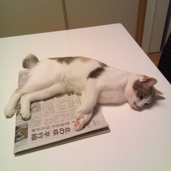 3838ebce f324 4d09 9f87 fc6ba46d3931