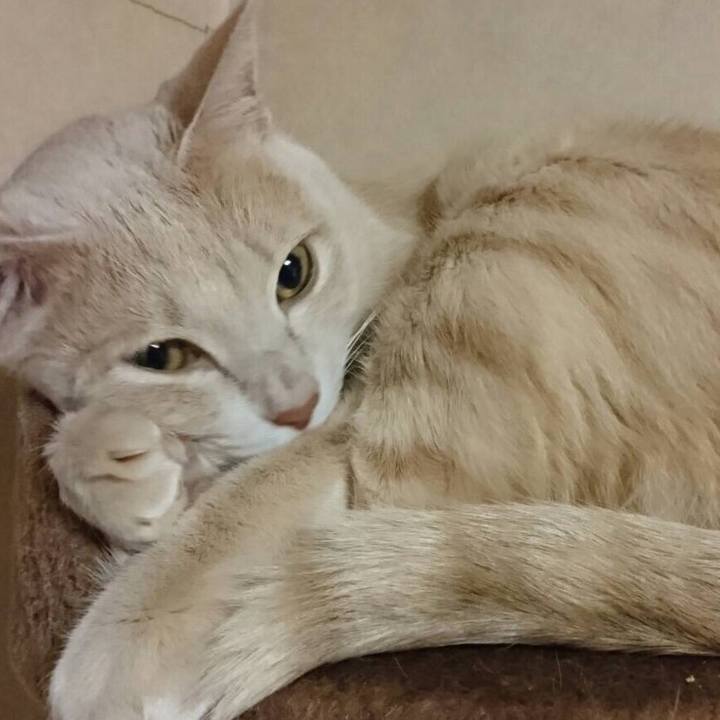 3839ee5b 0df6 4b19 9682 92abbb50a91b