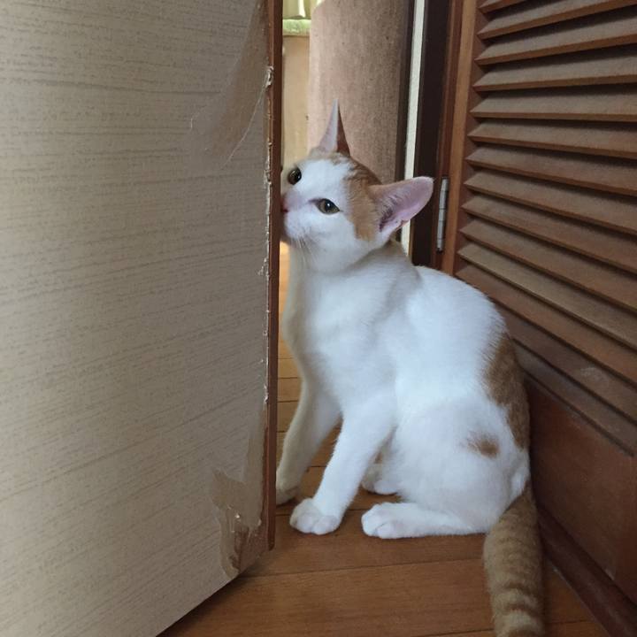 383a1687 5def 4ac5 8169 57569511b2b4