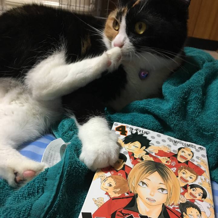 383b1fe2 b274 46c4 8ca8 3a1ac0aada92