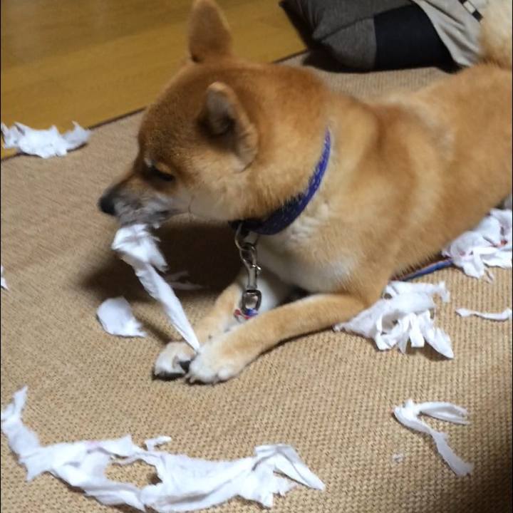 383b1fe3 2972 47ef ad7a dbaf54ed3c6f