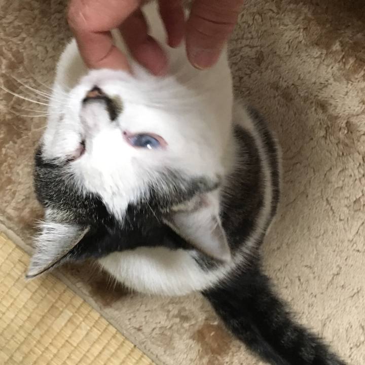 383b8bf2 11e8 41a0 9ad9 ec237789cc56