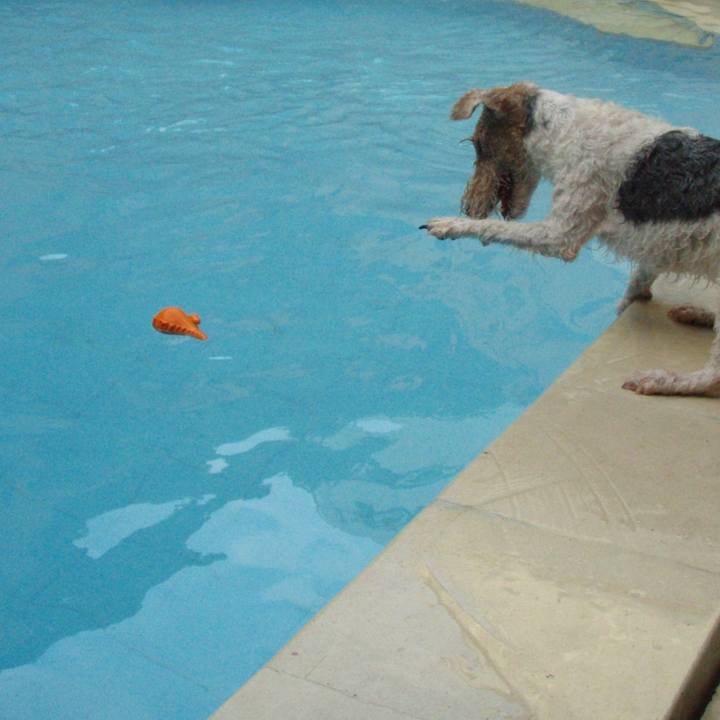 383be1f1 13af 4ef3 aa91 acfb969a7999