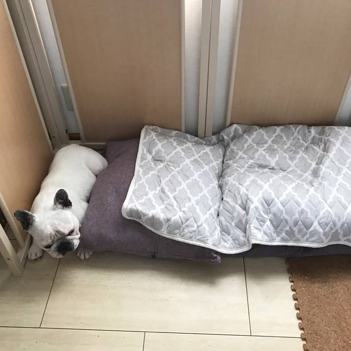 383be7ad 3871 4558 a77b cd7783153052