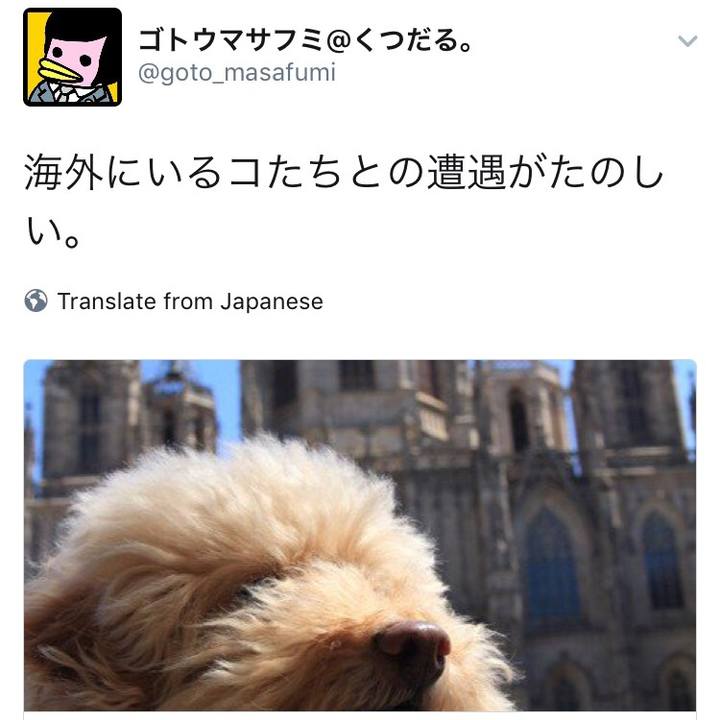 383ca7fe 3299 4ce9 a426 9f8a621f9d47