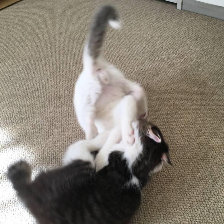 383cf92d 6415 4715 8fb8 35d80b7c8767