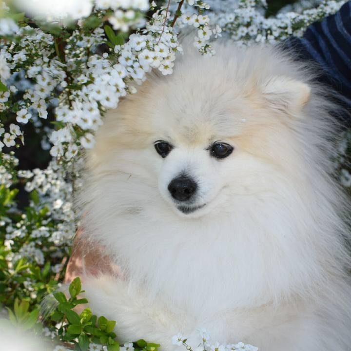 383d121a f98a 46e6 ad75 364e48db9d73