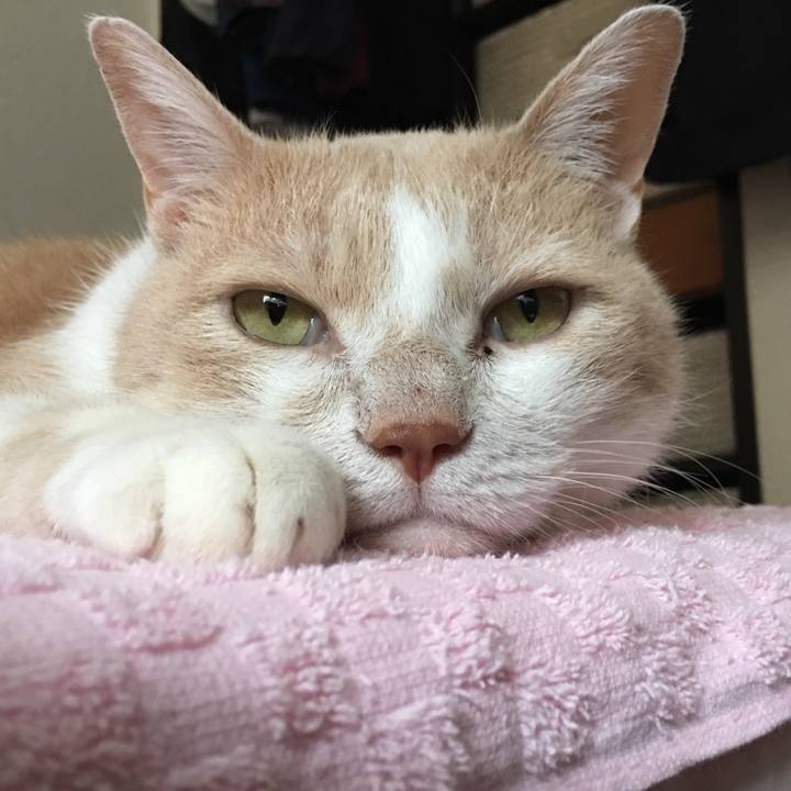 383d6bf0 4e71 4c71 a002 10f8421e6d58