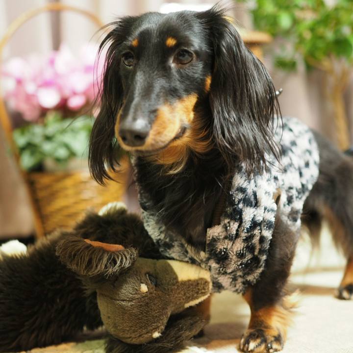 383d730c 5c99 4cc0 846c ba10679a40e1