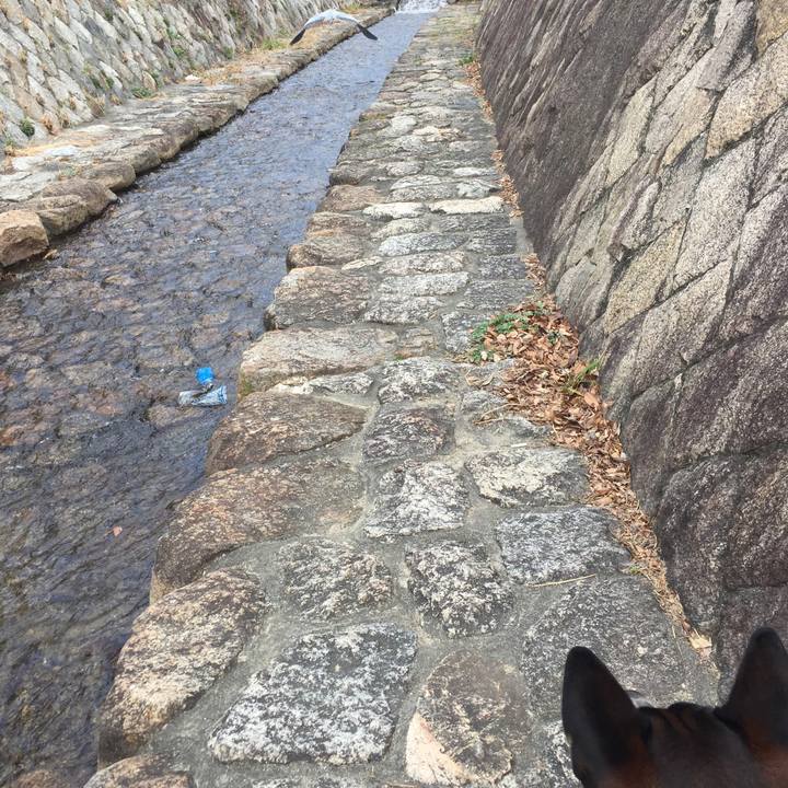 383ee573 4002 4388 8348 48e9cff44abe