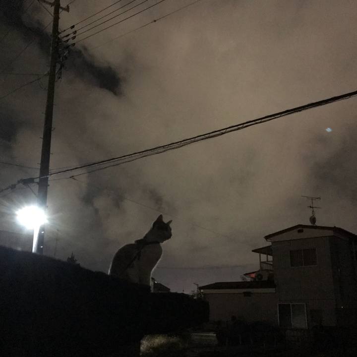 383ef6da 7043 4032 9e65 d2c6ee825d77