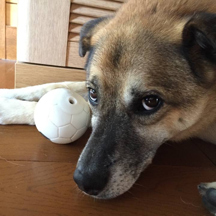 383f9735 8b35 4a92 824b c4371aca8e93