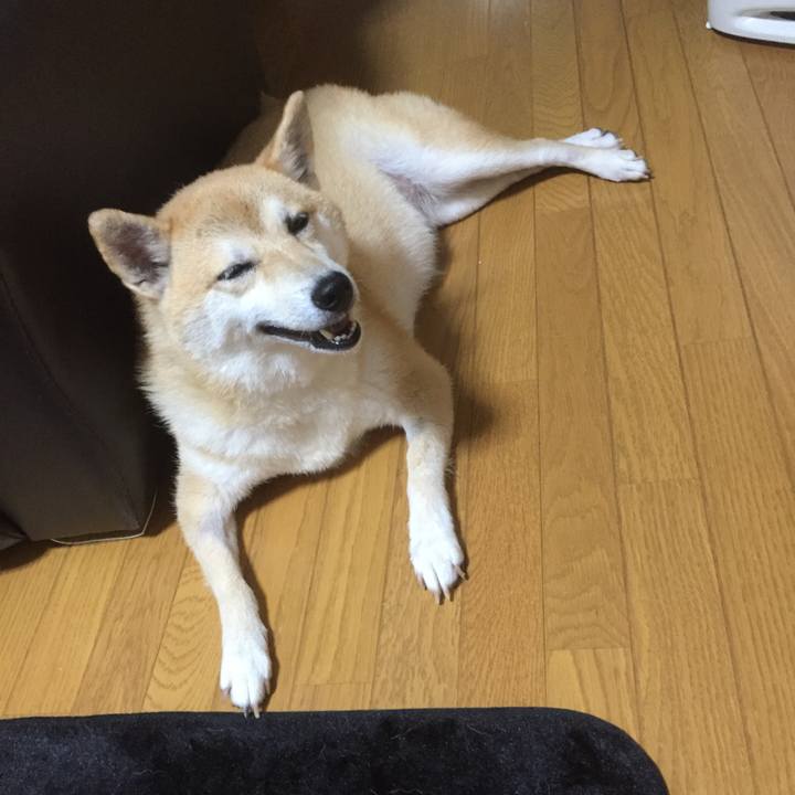 383fbba5 b5bc 46c1 99e9 43c852f430a7