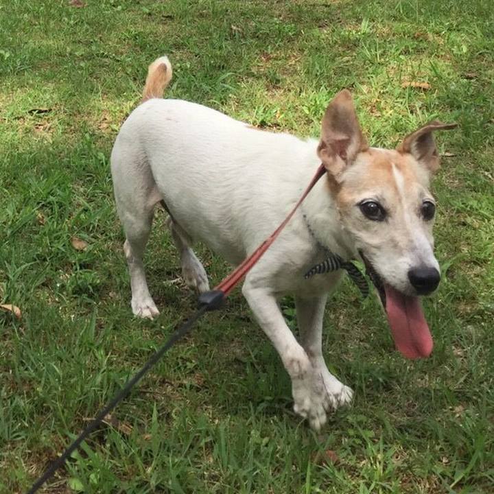 383fbe0b aa6e 4081 8a5b d596a0e45def