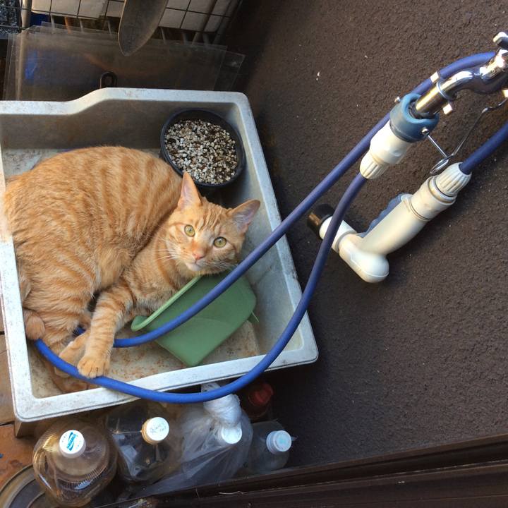 383fcbc4 e1d7 409f b423 6a62f650a588