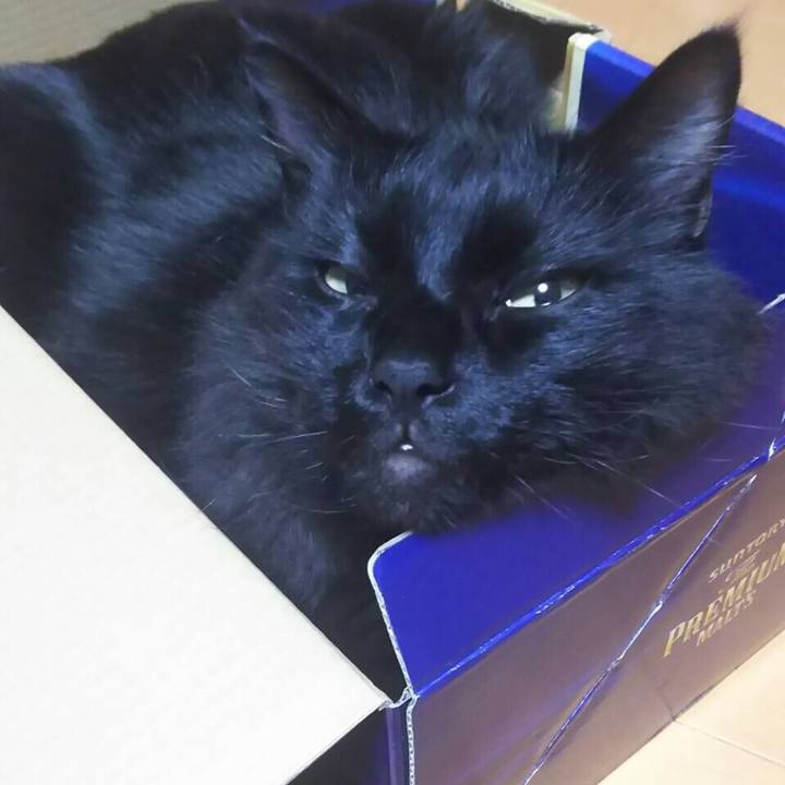 383fef45 d750 4c2a b249 d1c921d3afc3