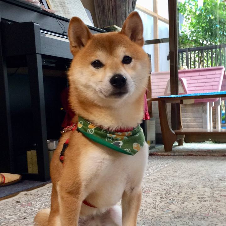 384011bf 7b17 46c6 81a7 a5bfe98f7a07