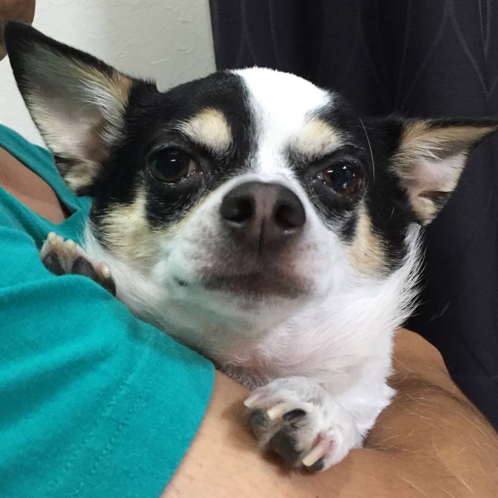 38404404 6793 4f5d b07b 44de1cb12064