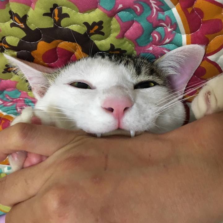 3840ad22 010e 42fd 8a54 68cd3a7489ba