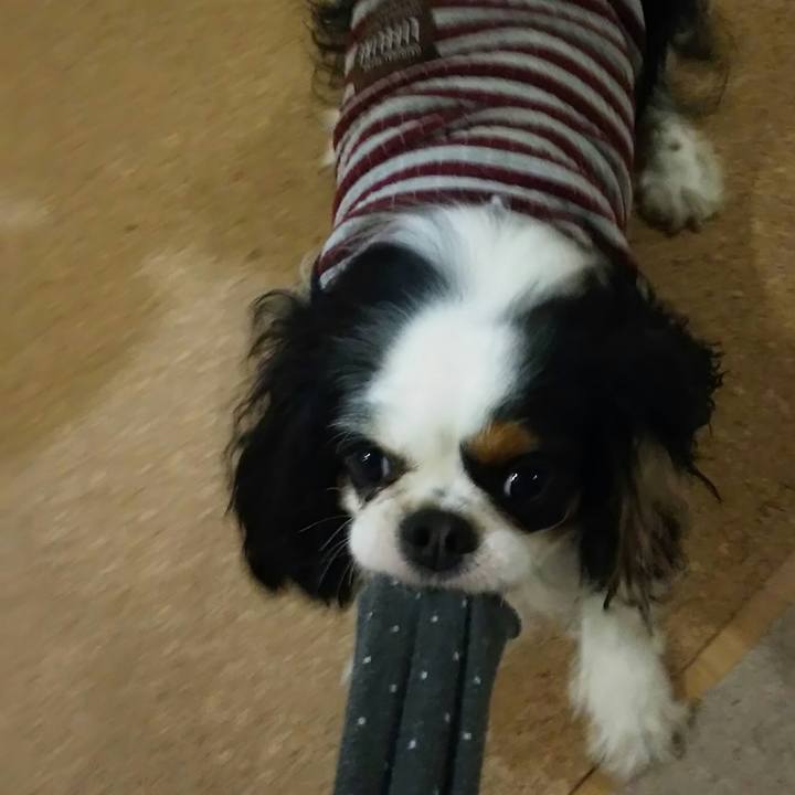 384191b3 6ba7 4bf9 946a a2a53183fddc