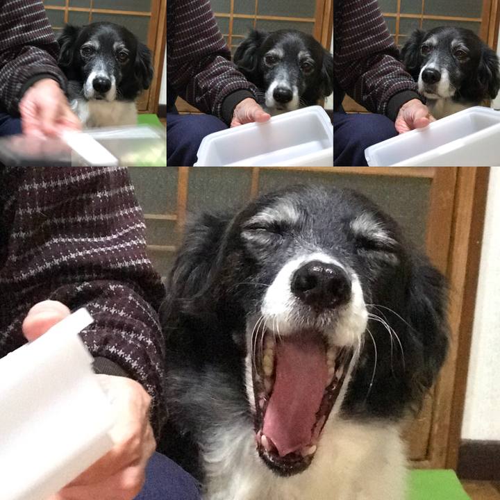 3841e97d 5a4d 419f 8257 48eb2eaaf42e