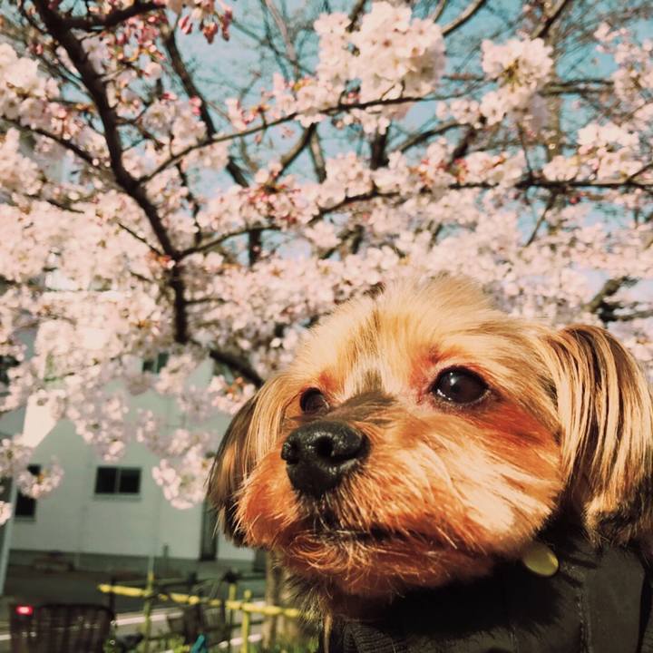 38422d54 df31 4d76 b1ff 29115acd8415