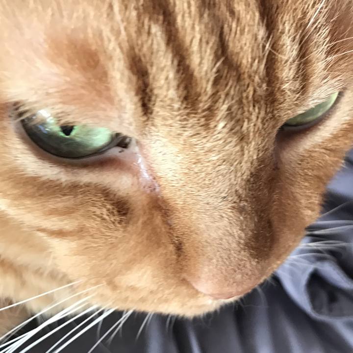 38428430 b435 48a2 962d aa30e5d384a3