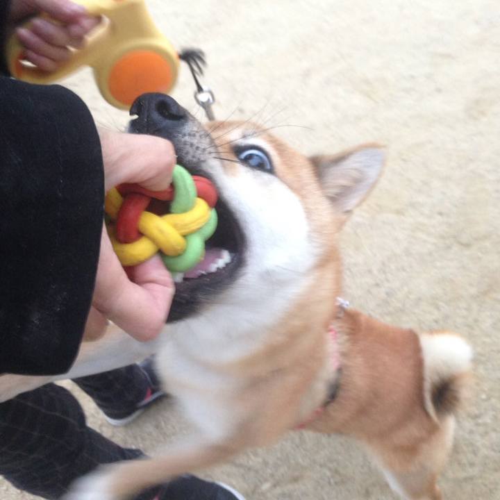 3842b398 ba0b 4aec b1e8 2ffa8d918bcd