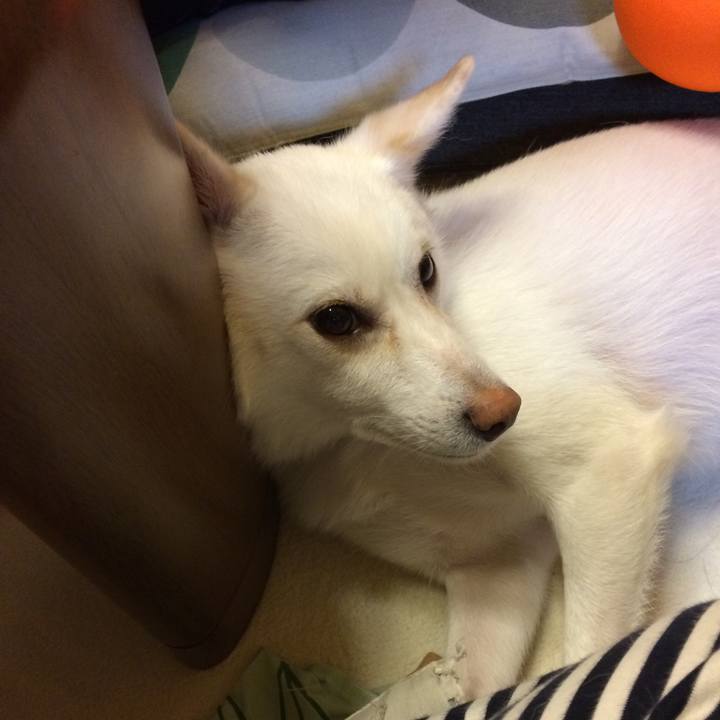 384354f9 f41e 4186 ac1a 00f721a31270