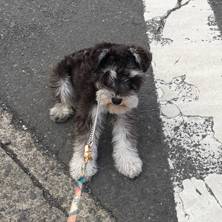 38436156 12e4 49af a2b8 542b451acb19