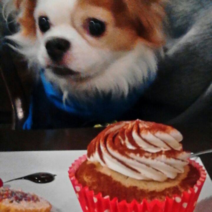 38439e27 0b93 45fa a292 9d35154a59ec