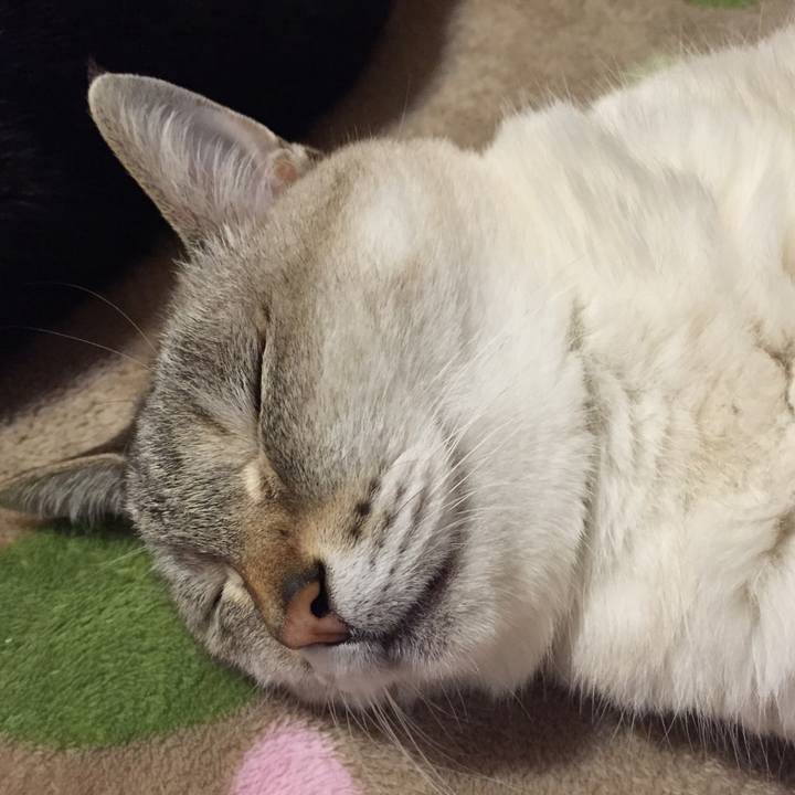 3843cc7f 6901 41db bb7c 2d6b4f5a47b8