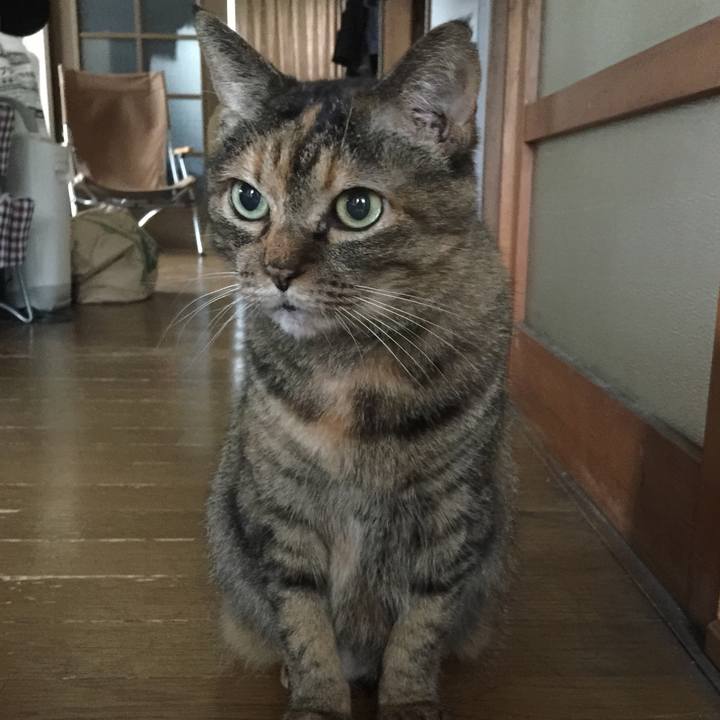 3843ccff acdf 4869 9848 d76da4fd3259