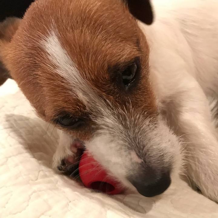 3843ecc5 7c6e 4ffa 979a 31df93f981a3