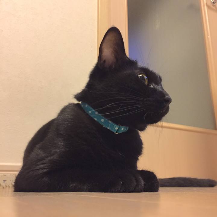 3843fad6 e186 4f92 8123 30ef35d52495