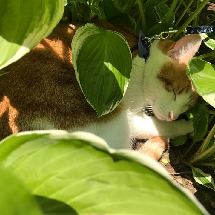 38443031 6998 471f 8ffa cfc3f83a8336