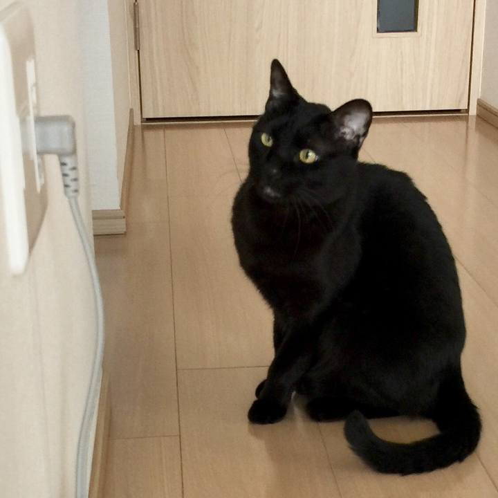 38444d3b e294 486d 9a03 9242755fec41