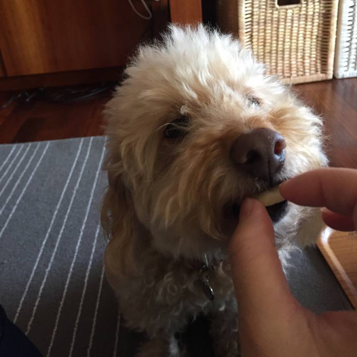 384483ed 5f8b 4d1f 9f83 4616e98b8165