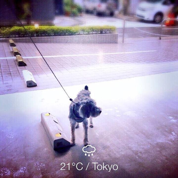 3845276d b028 4424 953d f70457f7899a