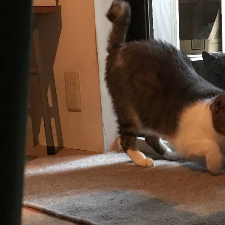 3845702f 5267 4494 9f92 e968d08c5d58