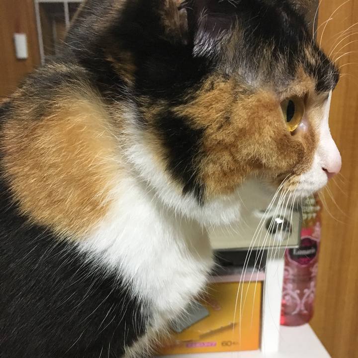 38462f67 e075 4fe3 9137 915769dea023