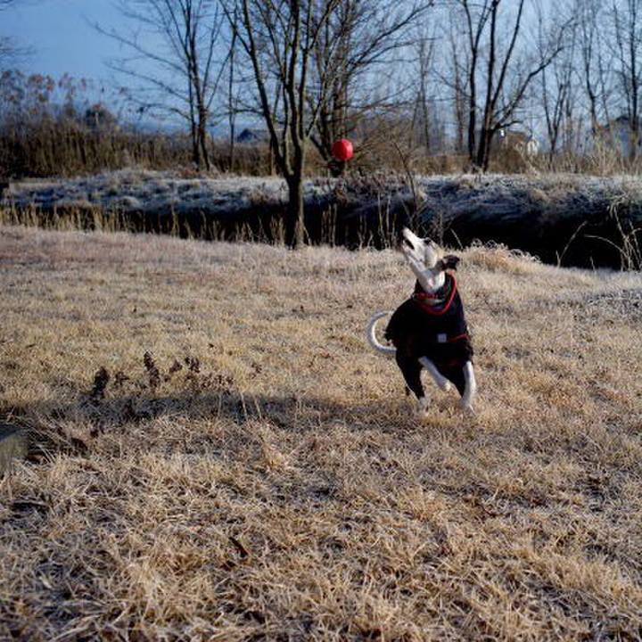 38464ad8 d266 4cc2 afe0 ded066a8258f