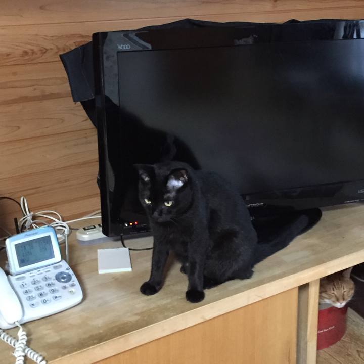 38471254 83dd 4b88 a791 44579efddb1e