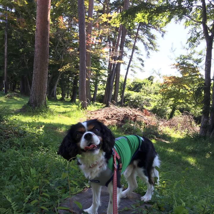 38478a01 9189 4144 bd37 959c796f131c