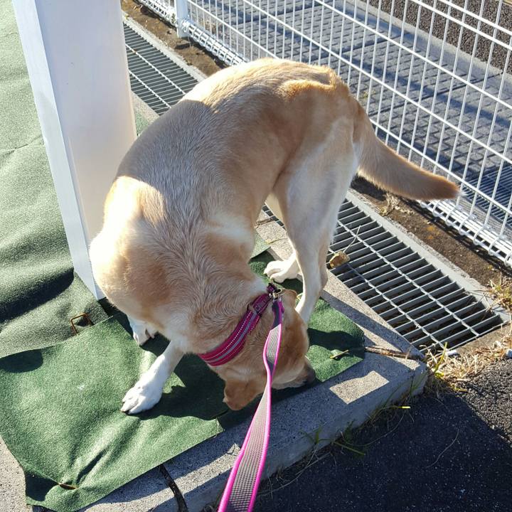 3847d13b e0f2 4074 9960 199fe86a81ff