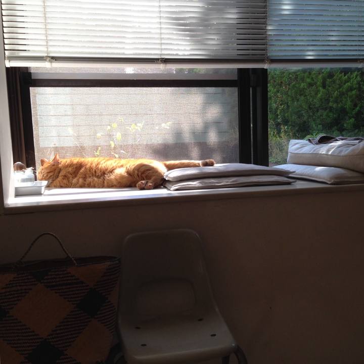 3848057c 17e5 45a0 9479 edc9623cd150