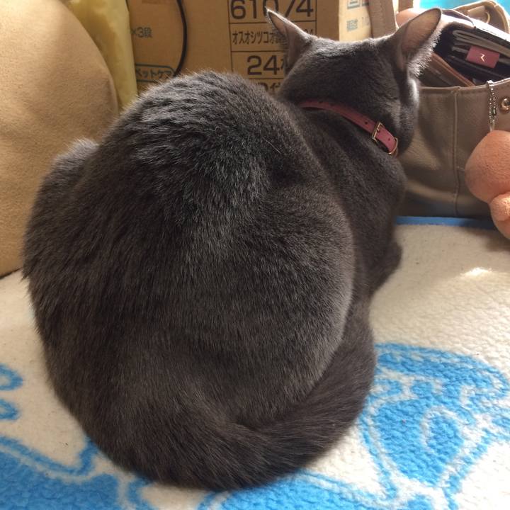 38490deb 16ae 432e 8f58 79abfa5aa5bd