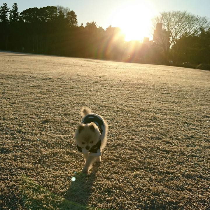 3849c495 cfae 4816 92a9 0a7d16b203dc