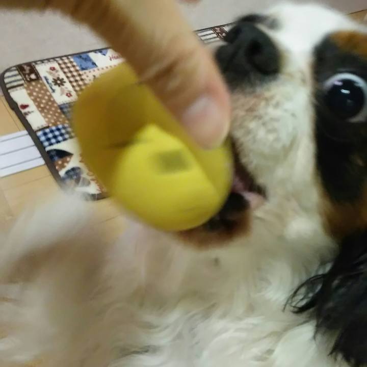 384a7dea e0e7 4d41 ac0a bde1b8d40658